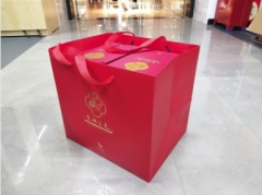 东湖之光品鉴版2提装手提袋